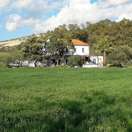 Meleros Andalucian Set In Its Own Land With Beautiful Terraces, Garden & Pool. Villa *