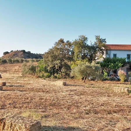 Meleros Andalucian Set In Its Own Land With Beautiful Terraces, Garden & Pool. Villa Olvera