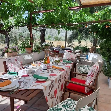 Meleros Andalucian Set In Its Own Land With Beautiful Terraces, Garden & Pool. Olvera