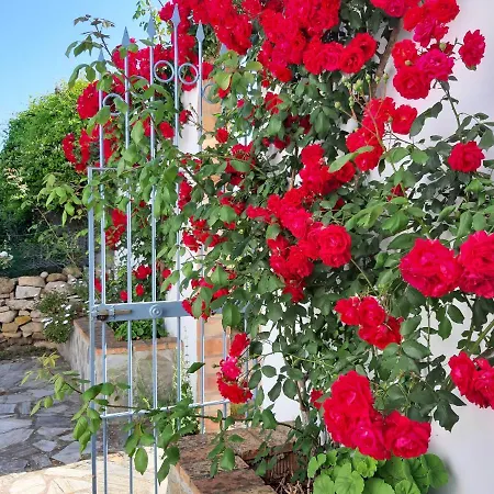 Meleros Andalucian Set In Its Own Land With Beautiful Terraces, Garden & Pool. Olvera