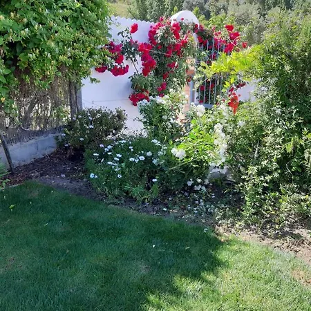 Villa Meleros Andalucian Set In Its Own Land With Beautiful Terraces, Garden & Pool. *