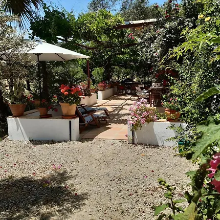 Villa Meleros Andalucian Set In Its Own Land With Beautiful Terraces, Garden & Pool. Olvera